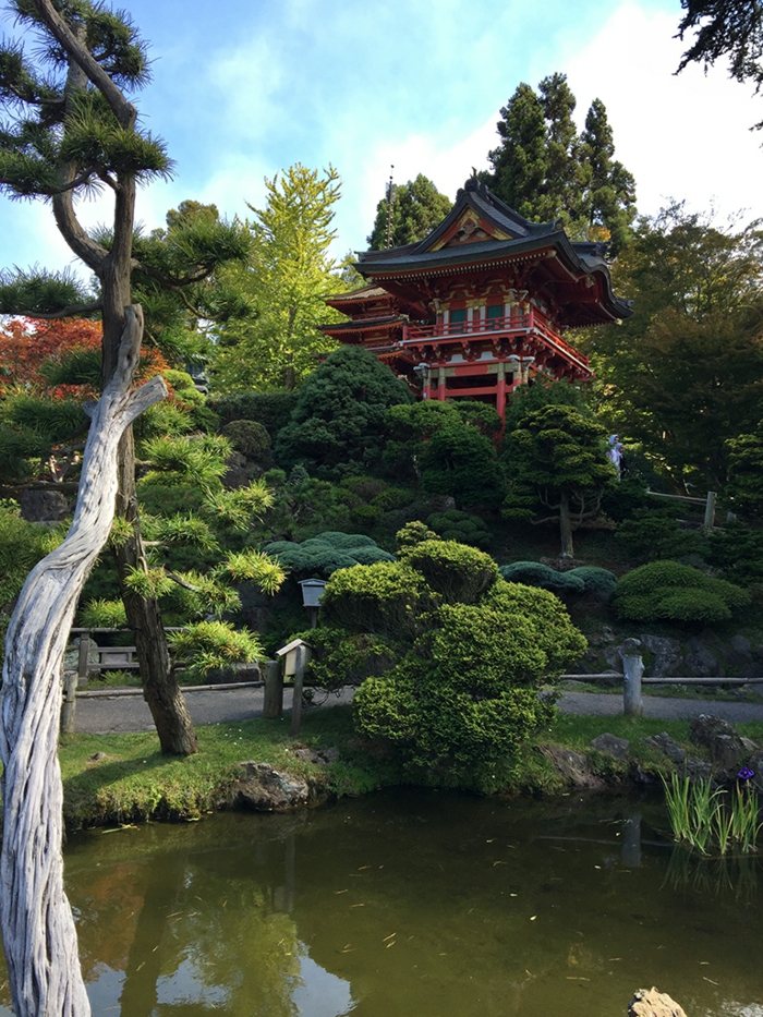 bouddha deco exterieur, pagode rouge, arbres verts, bassin d'eau avec mousse, idee deco jardin