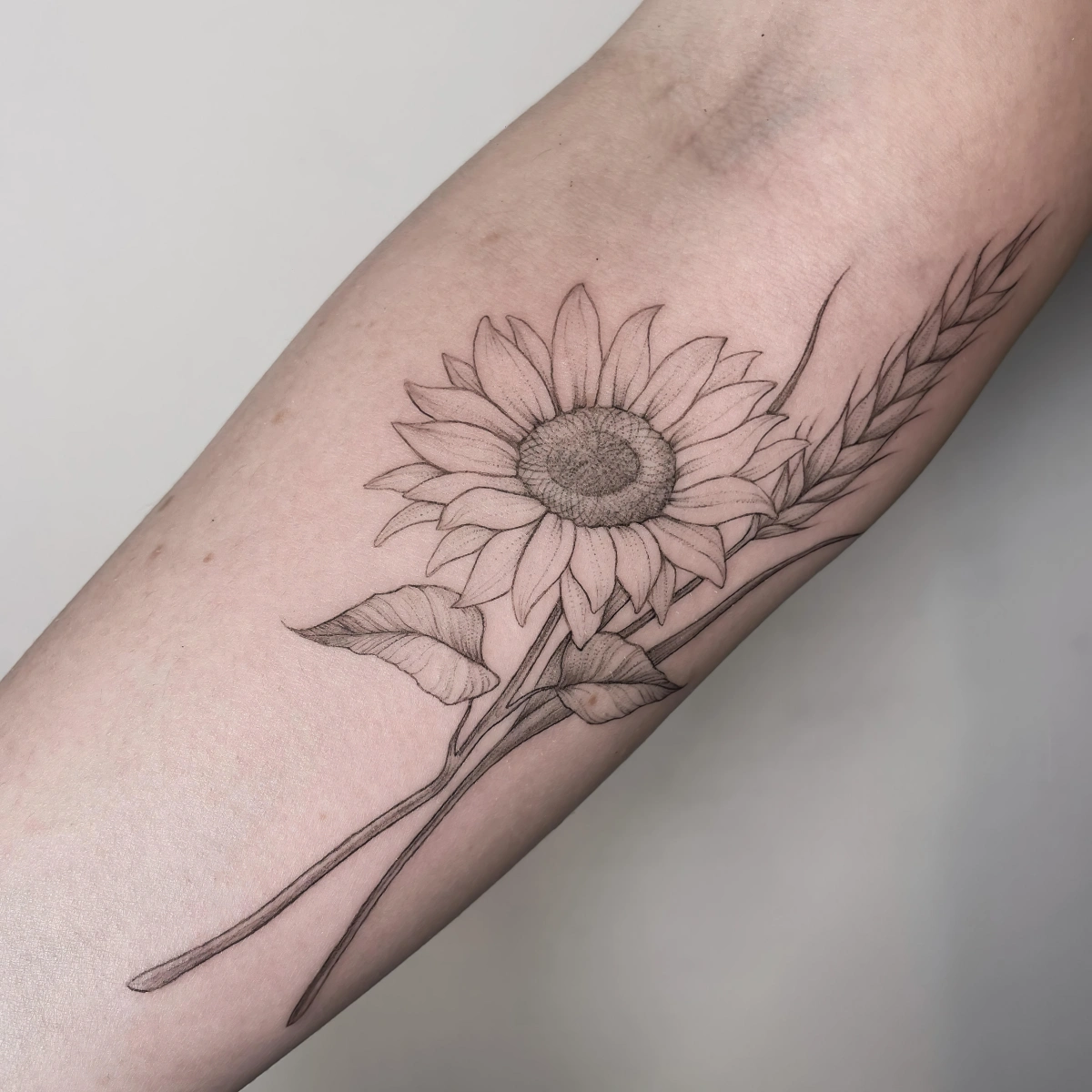 dessin tournesol tiges petales fleur sur bras tatouage