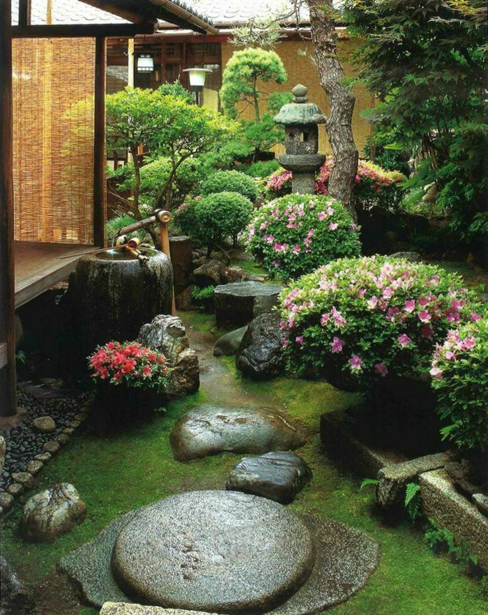 jardin zen, couverture de sol en mousse, rochers dans le jardin, pergola en bois, broussailles rose