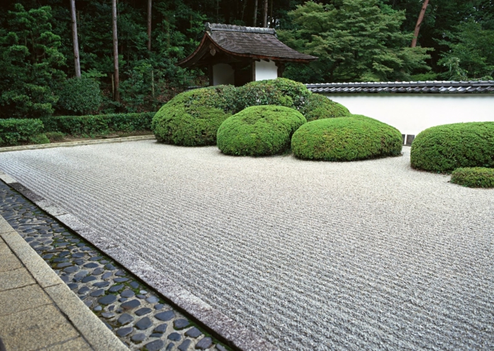 jardin zen japonais, couverture de sol en sable ratissé, broussailles vertes, bordure en pierre