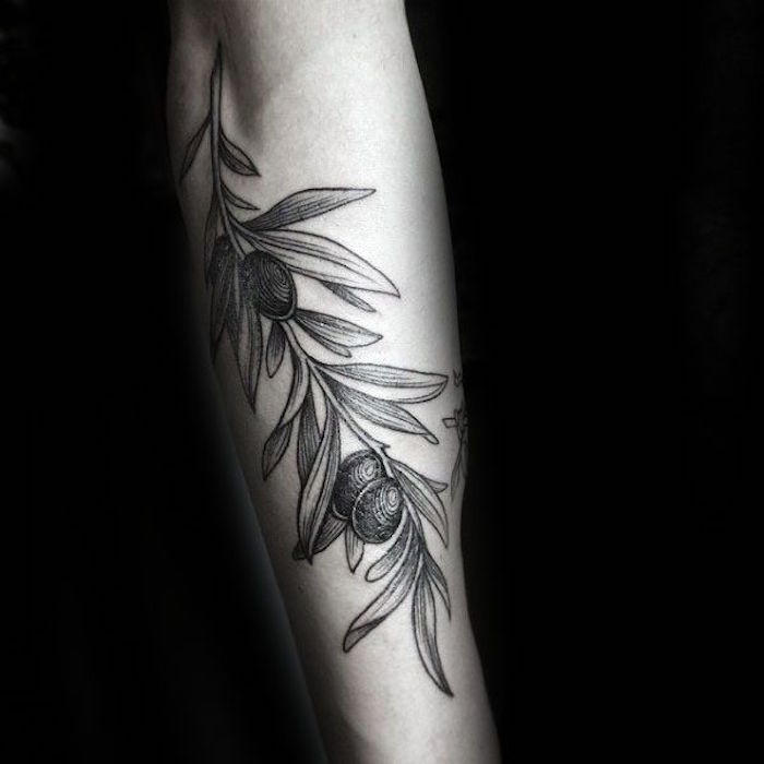 interieur bras tatouage aile avant bras olivier olive vegetale