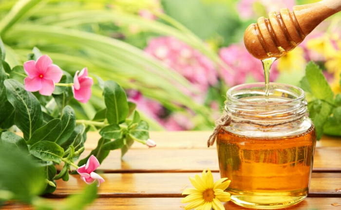 ingrédients-naturels-coloration-bio-éclaircir-ses-cheveux-naturellement-avec-du-miel un masque au miel pour donner des reflets clairs aux cheveux, une teinture naturelle pour cheveux, soins revitalisants