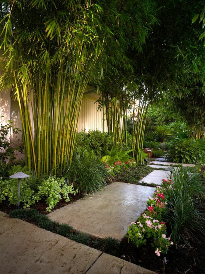 déco de jardin zen, plantes vertes, bambou, fleurs rose, sentier dans le jardin