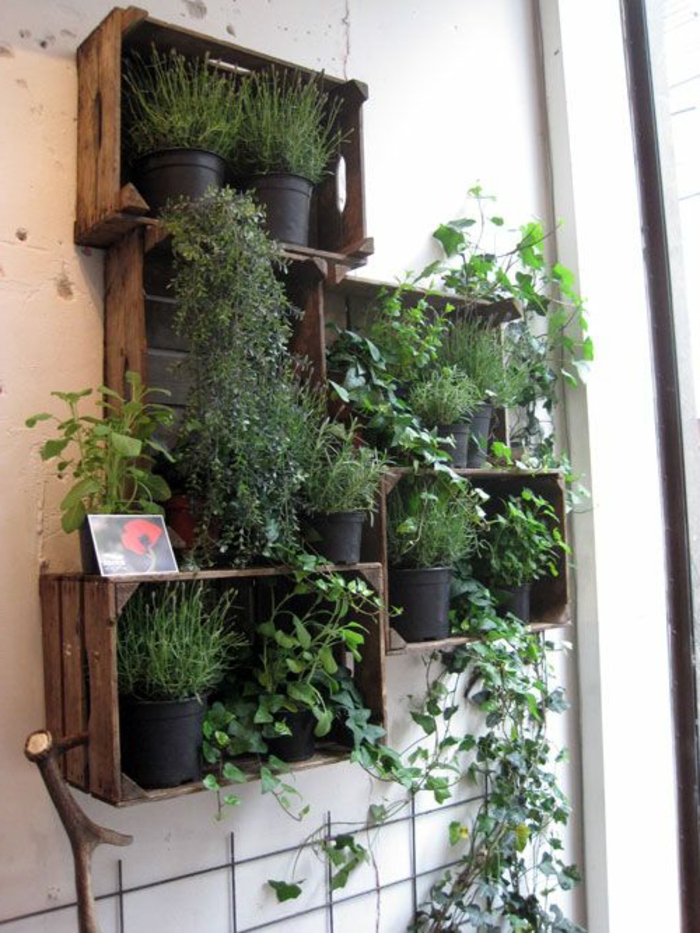 jarndinier de cagette en bois, plantes vertes, décor tout en blanc, idée de rangement interieur rustique naturel