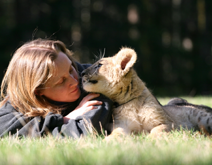 Ravissante photo d animaux trop mignon photo mignon lion et humaine