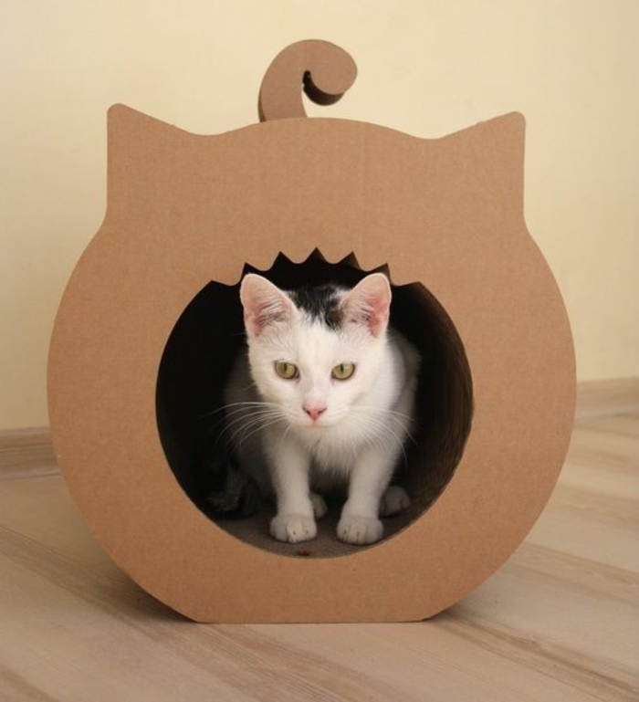 maison de chat en forme de chat, un chat blanc