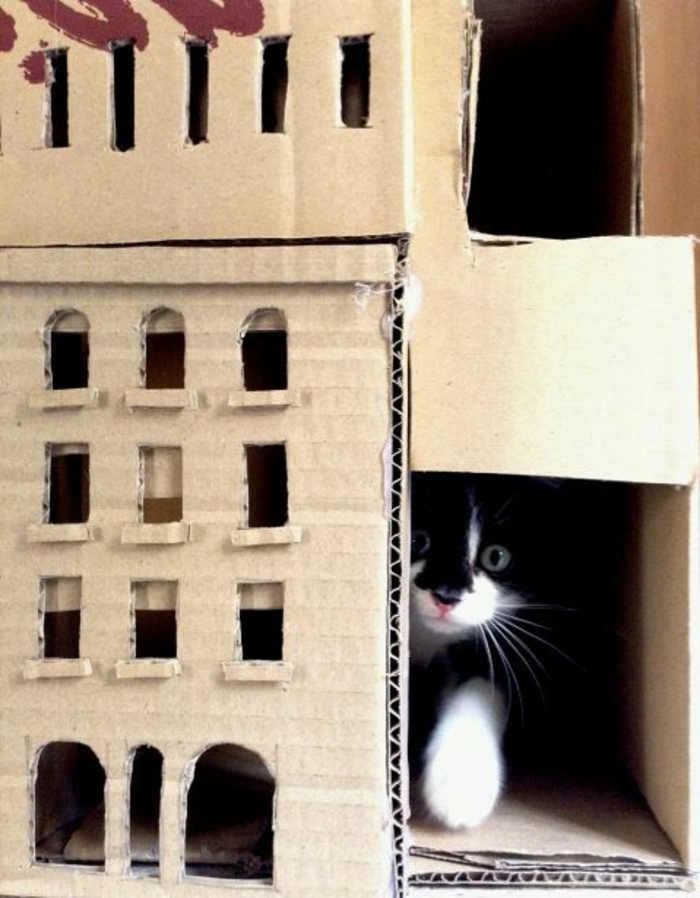 maison de chat en carton, chateau de chat original à faire soi-même