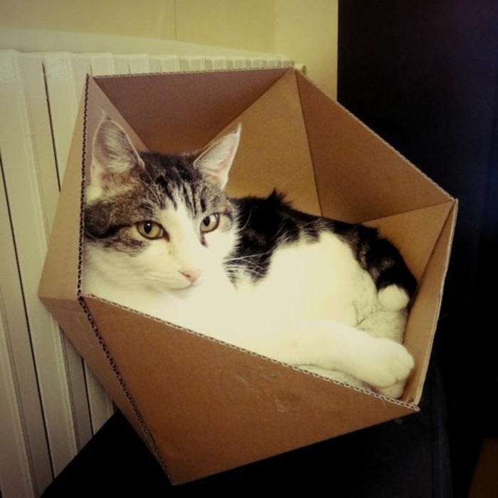 maison de chat en carton, petite niche de chat en carton