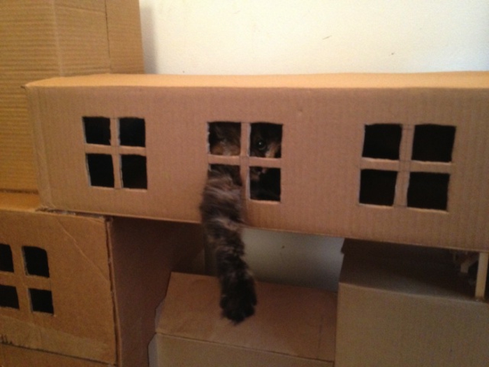 maison de chat en carton, tunnel de chat, maisons de jeux pour chats 