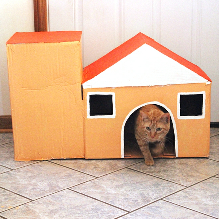maisonde chat en carton, maison avec deux boîtes de carton et un chat 