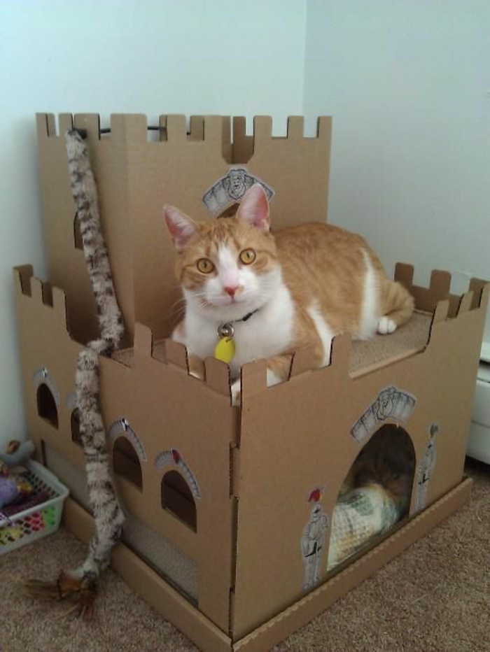 maison en carton pour chat, jouets à chat accrochés à son chateau