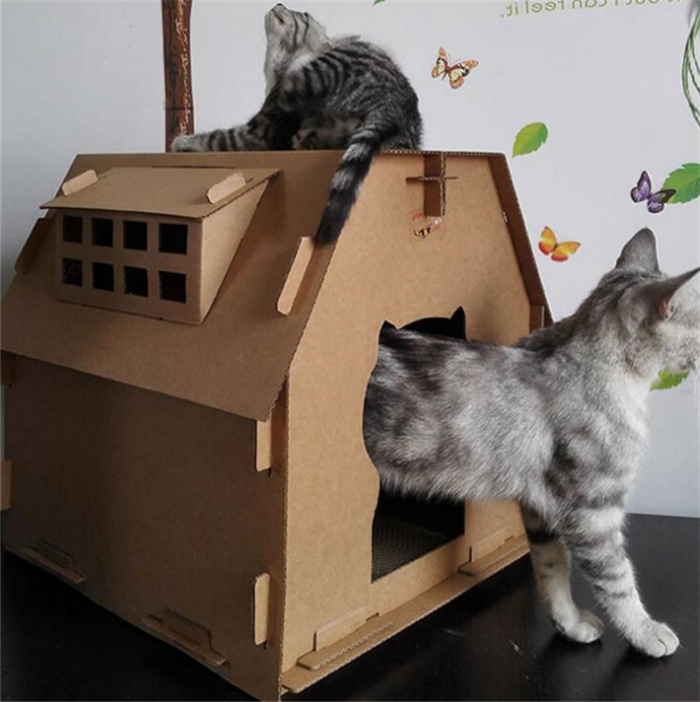 maison pour chat en carton, deux chats qui jouent dans la maison