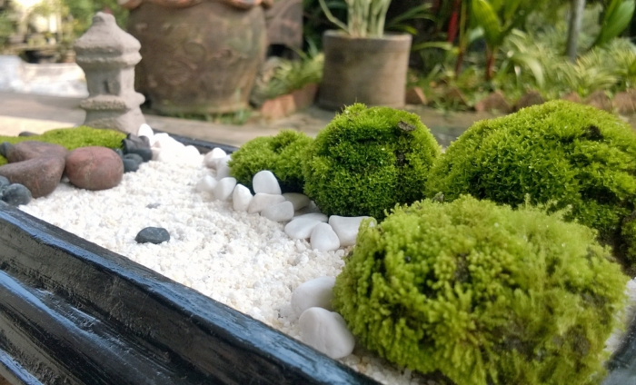 cailloux décoration jardin, sable blanc, broussailles vertes, projet diy, objets decoration jardin en miniature