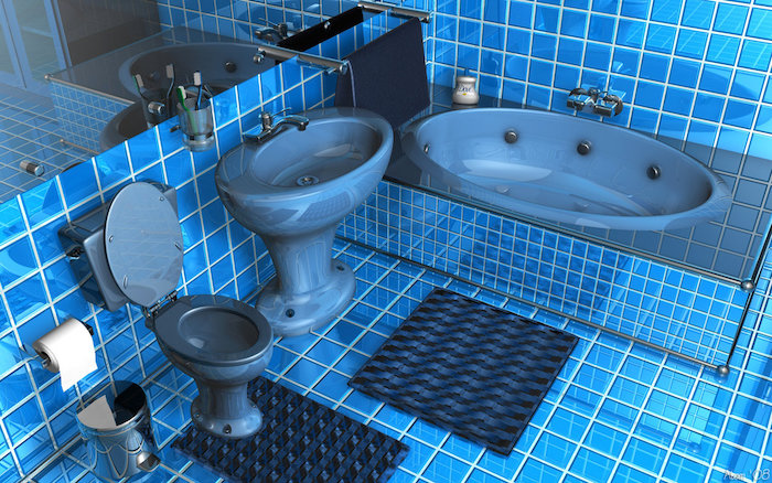 toilette bleu faience carrelage brillant deco wc
