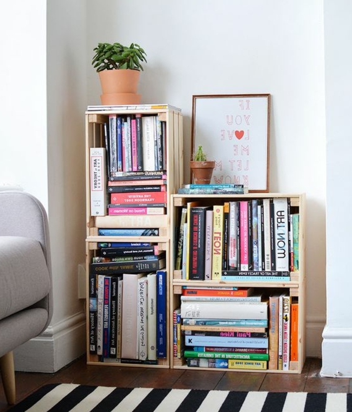 exmple de bibliothèque caisse de vin, livres, cadre décoratif, plantes, tapis zèbre, fauteuil gris, caisses en bois deco