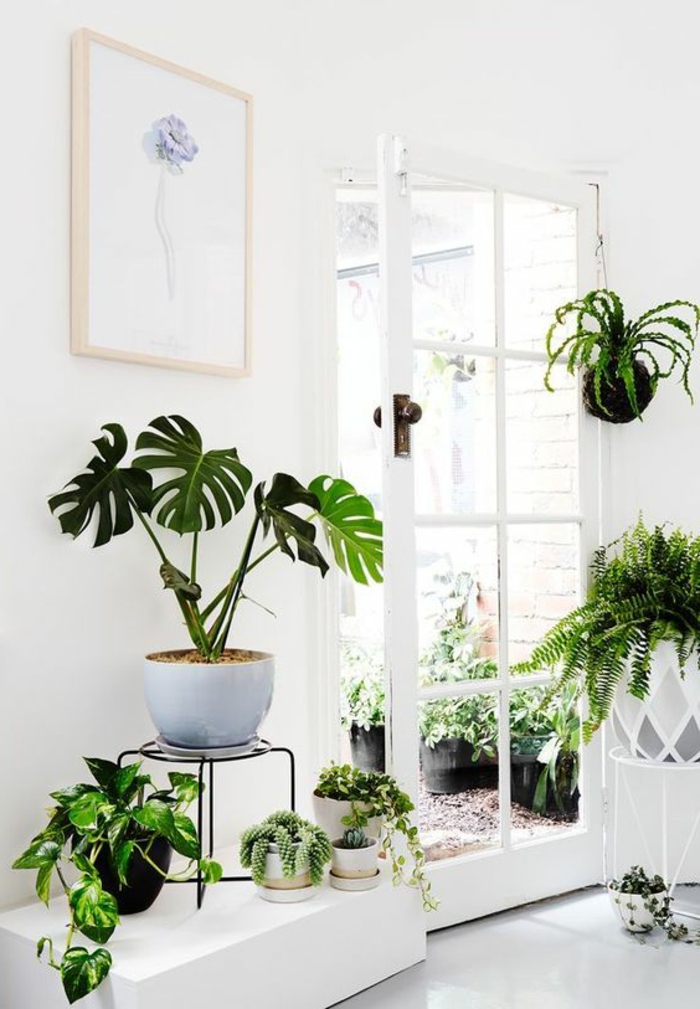 porte plante dans un décor bien vert intérieur richement orné de plantes 