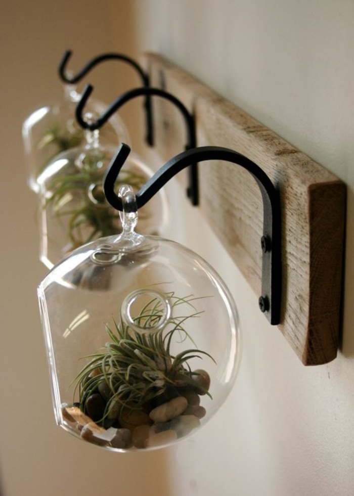 porte plante en verre, métal et bois suspension au mur