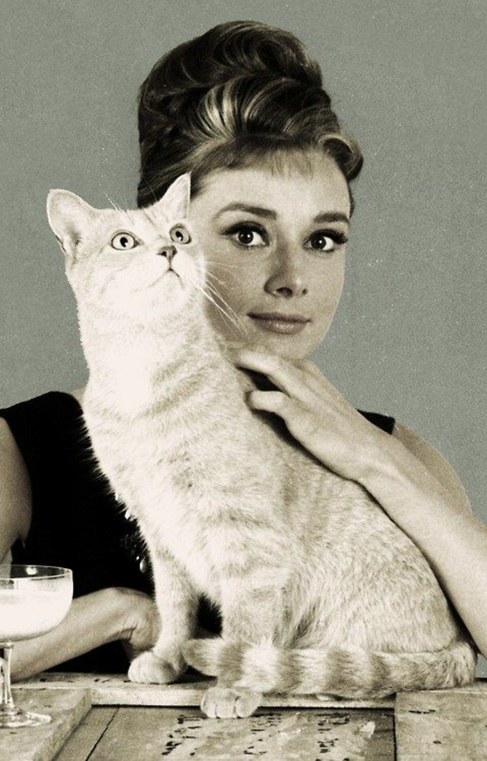 tenue-année-60-femme-Audrey-Hepburn-et-un-chat-roux-Breakfast-at-Tiffany's tenue année 60 femme, cadre des photos du film Breakfast at Tiffany's