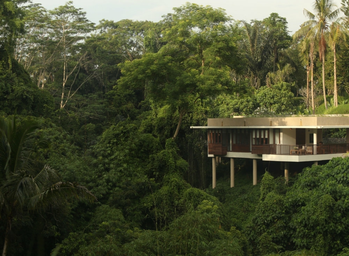 terrasse sur pilotis, forêt vert, maison d'hauteur, façade blanche, rambarde en bois