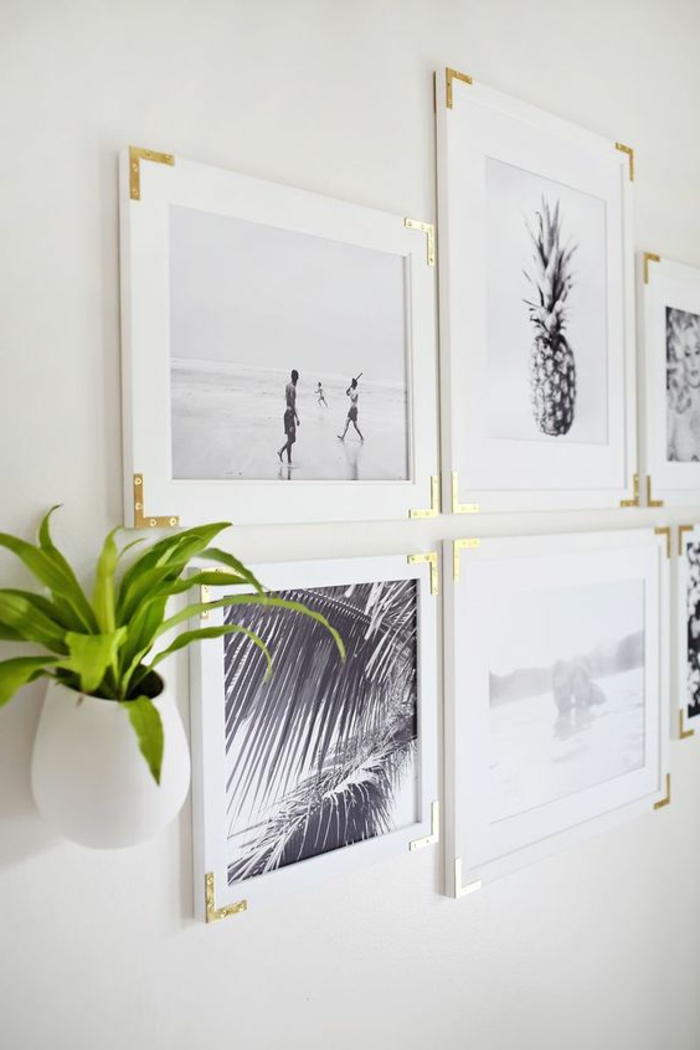cadre rectangulaire, plante verte, suspension plante, murs blancs, cadres blancs, photos blanc et noir
