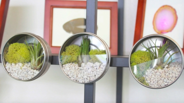 petite boite de conserve transformée en terrarium pour plantes miniature, galets, plantes vertes, mousse, deco boite de conserve