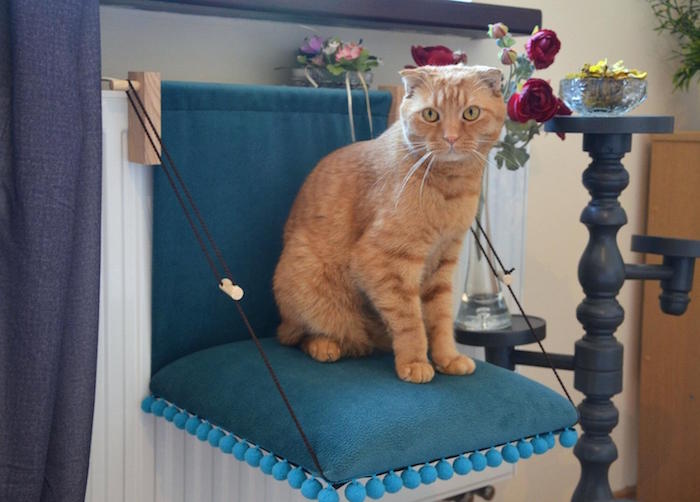 fauteuil suspendu pour chats canapé pour chat salon