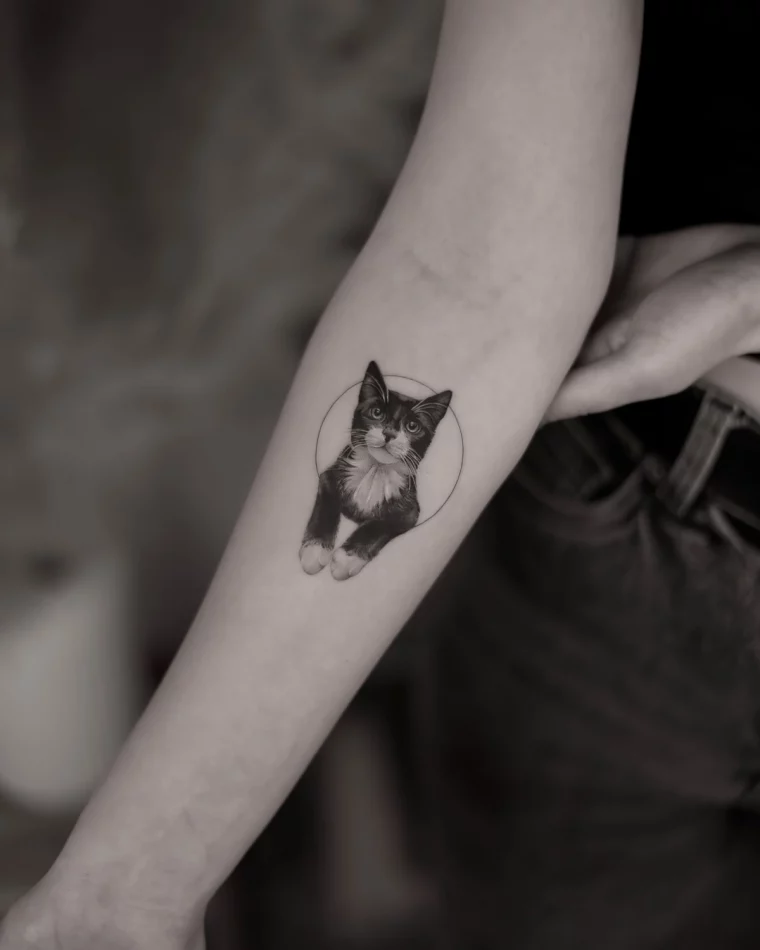 dessin de chat realiste sur peau tatouage bras femme animal