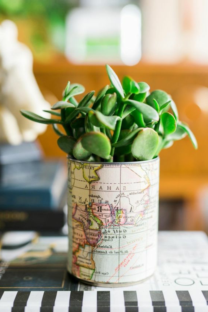 idée comment faire un diy pot de fleur à partir de boite de conserve, customisé de papier carte géographique, plantes succulentes
