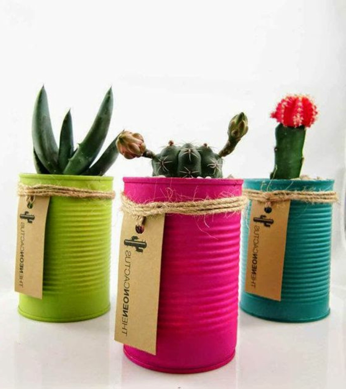 idee comment faire un diy pot de fleur à partir une boite de conserve, customisée à la peinture colorée, plantes succulentes et cactées