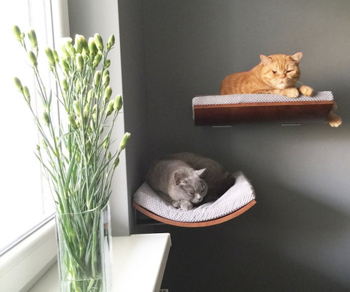 lit pour chat suspendu genre etagere murale avec coussin chats