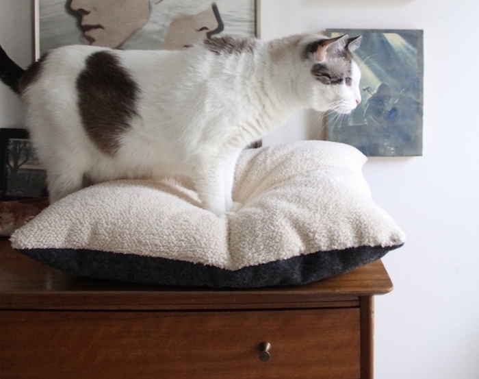faire un coussin pour chat facile tutoriel fabriquer oreiller chats