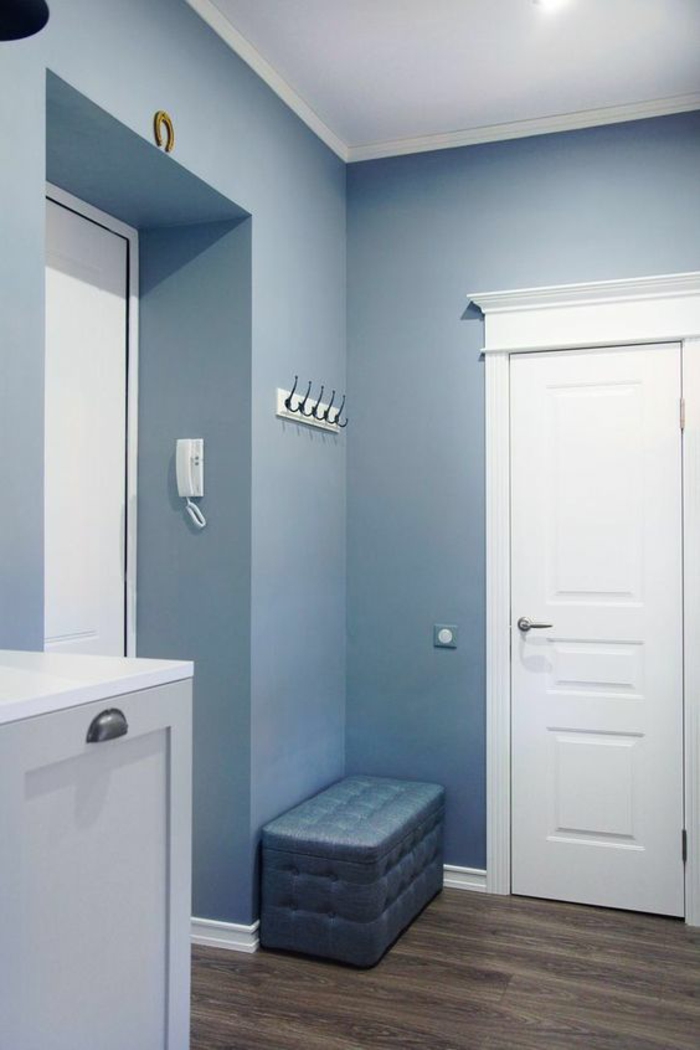hall entrée maison en bleu et blanc avec des portes blanches