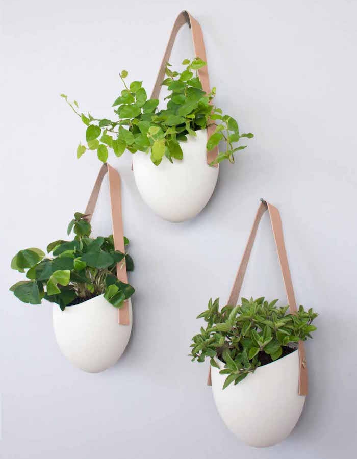 pot pour plante et bacs à fleurs design suspendus accrocher au mur pour déco nature
