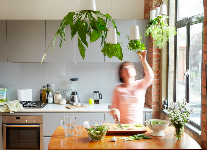jardiniere interieur moderne avec pots de fleurs suspendus à l'envers pour planets cuisine