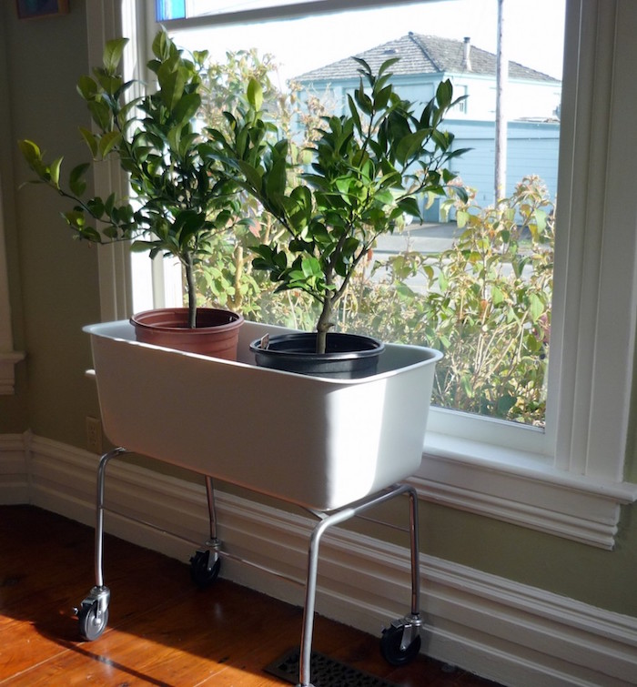 grand pot rectangulaire haut sur roulettes pour jardiniere plantes d interieur