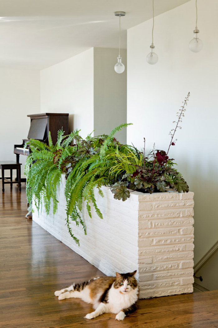 jardiniere interieur moderne dans faux mur salon avec plantes