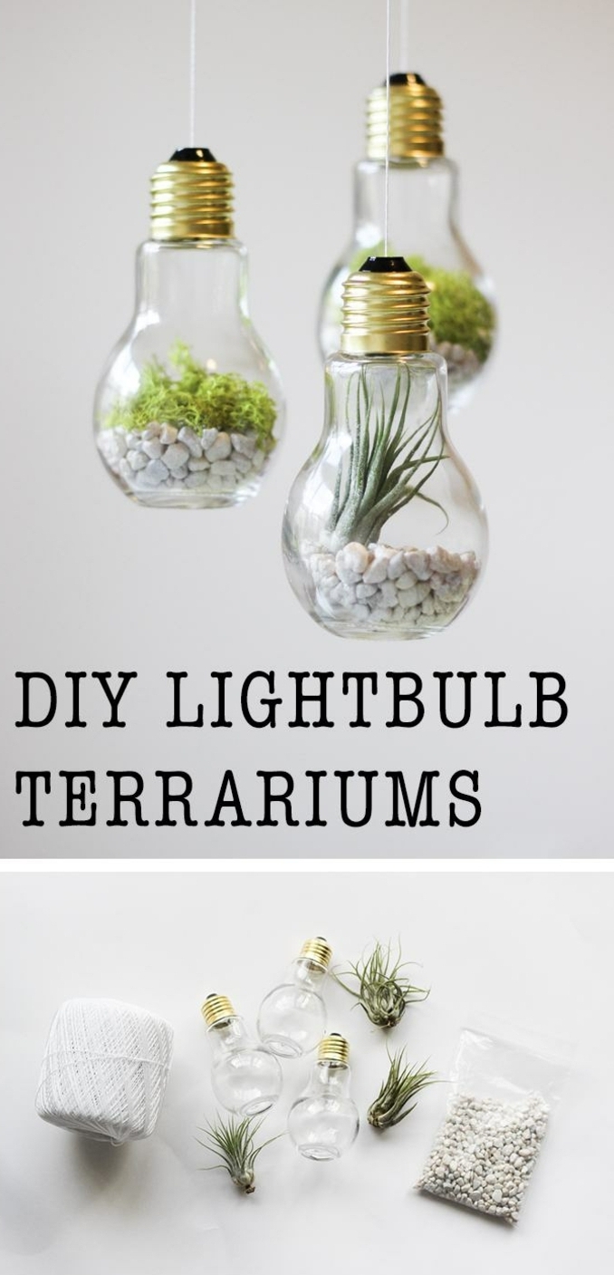 activite manuelle, comemnt créer un terrarium dans une ampoule électrique, gravier drainage et plantes, idées créatives