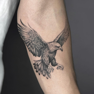 tatouage aigle bras homme dessin realiste symbolisme oiseau