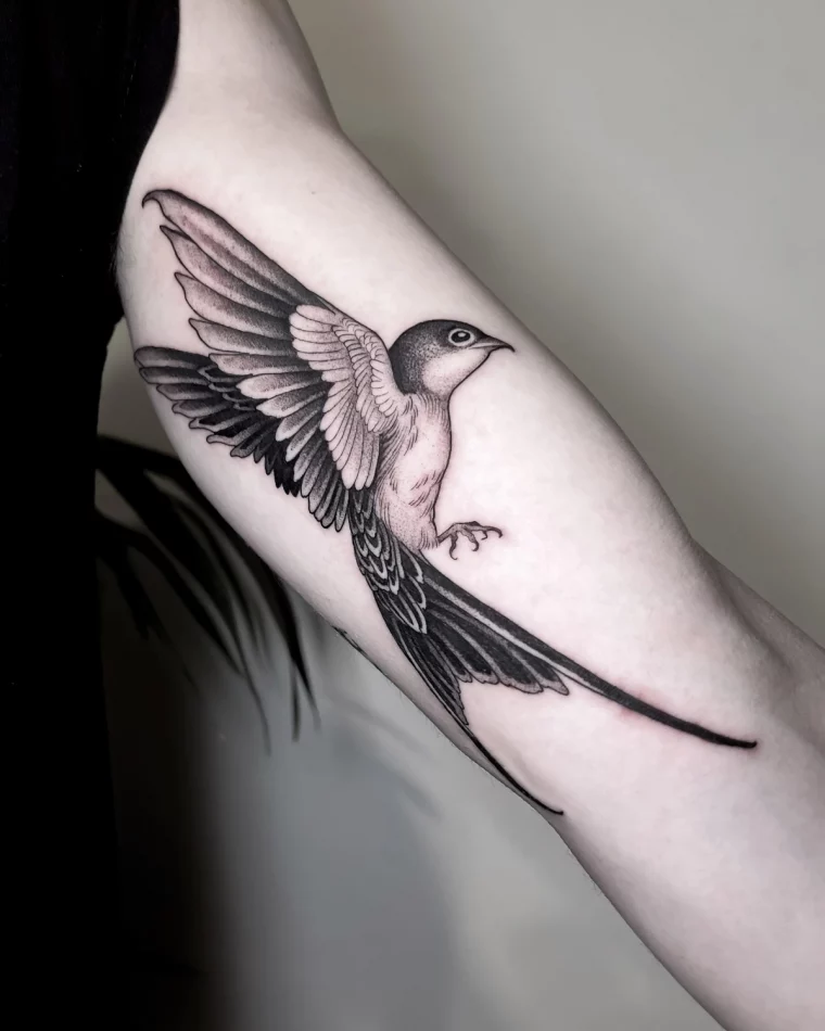 tatouage hirondelle blanc et noir sur bras homme ailes realistes