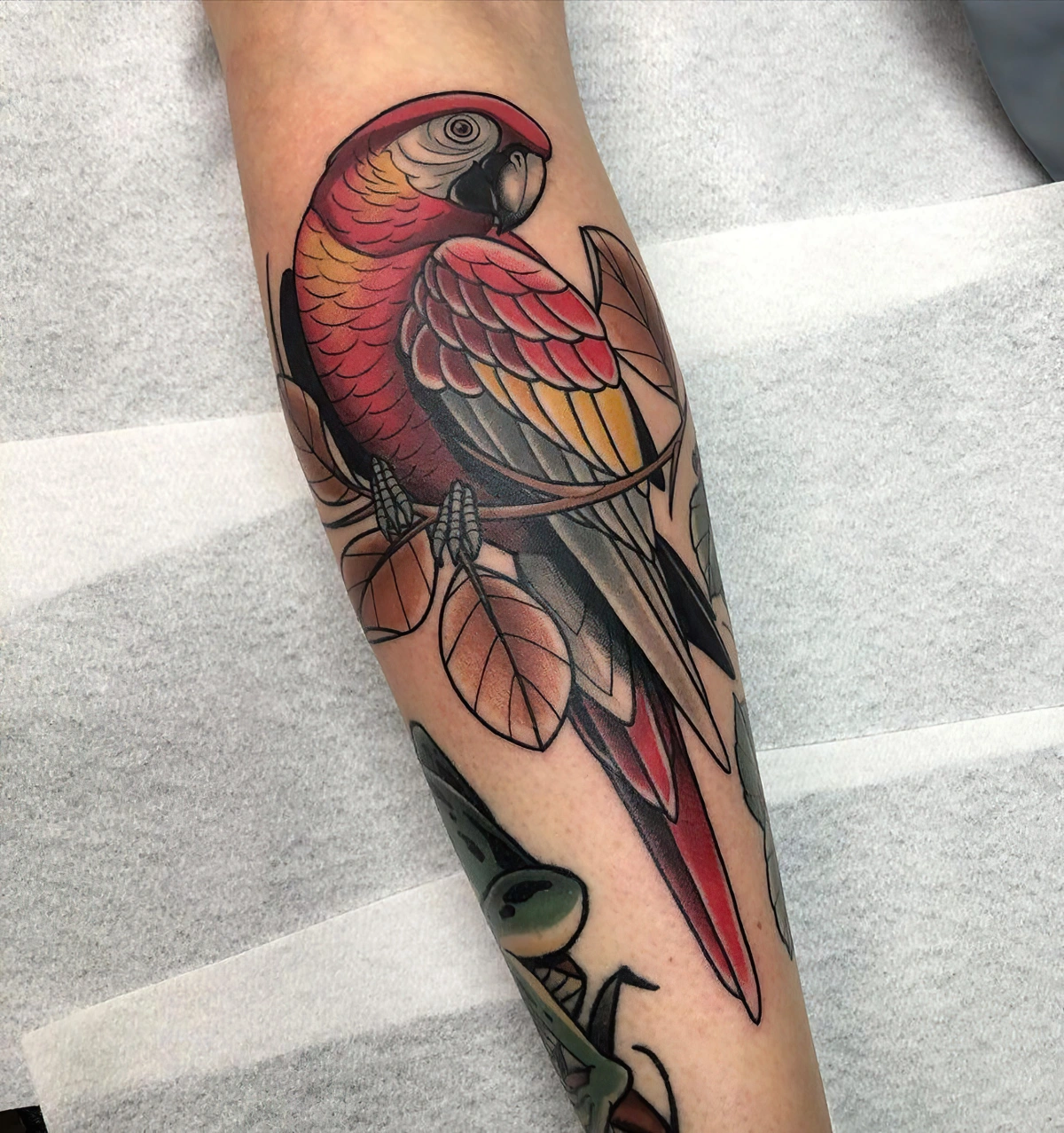 tatouage perroquet en couleurs sur bras plumes realistes branche feuille