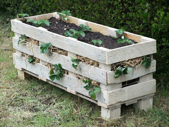 idée bricolage bac a fleur en palette pour planter des fraises, terreau et drainage, modèle de jardiniere classique 