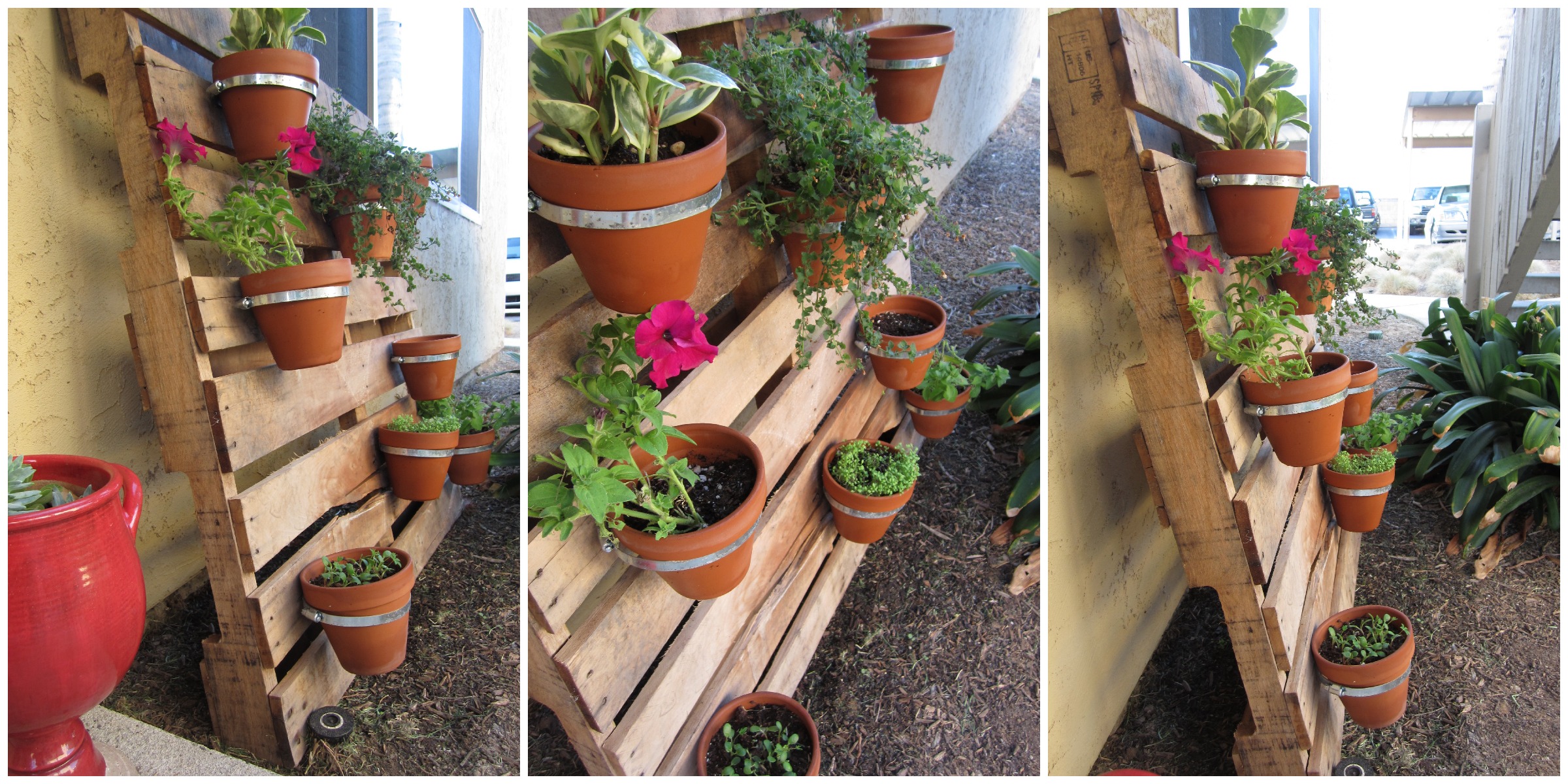 idée comment faire une jardiniere palette, des serre tuyaux fixées sur un mur en palette de bois, planches, planter des fleurs, pétunias
