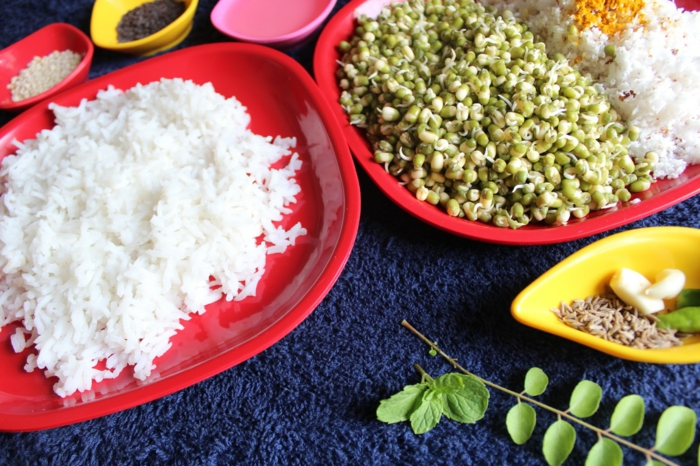 plat équilibré, riz blanc, ingrédients, herbes, recettes rapides et équilibrées, comment manger équilibré