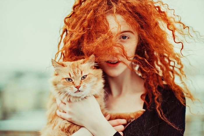cheveux cuivré, chat animal de compagnie, blouse noire pour femme, cheveux frisés en couleur orange