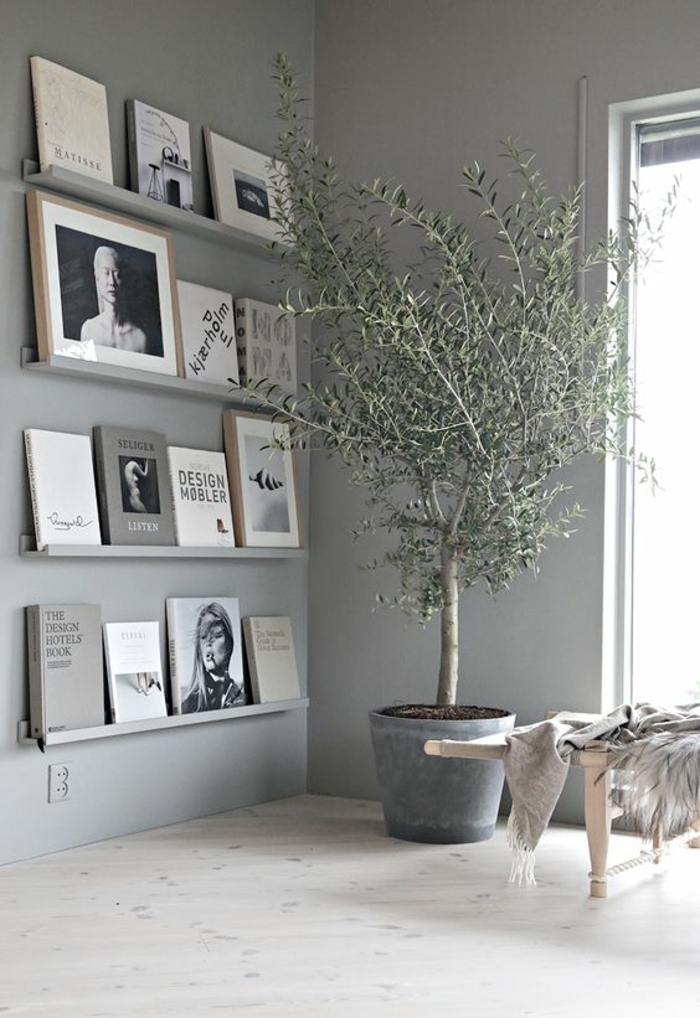 couleur gris perle dans le salon avec des étagères avec des livres et une grande plante verte