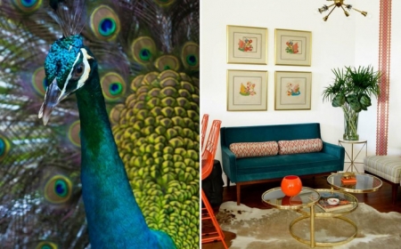 1001 Idees Deco Avec La Couleur Bleu Canard Pour Une Ambiance