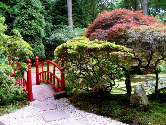 jardin zen japonais, gravier et chemin de pierres, pelouse et arbres bas, un pont rouge, des pins hauts