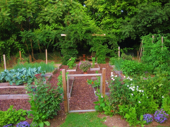 idée amenagement jardin potager surélevé, cultiver de différents légumes, cadre naturel en vert
