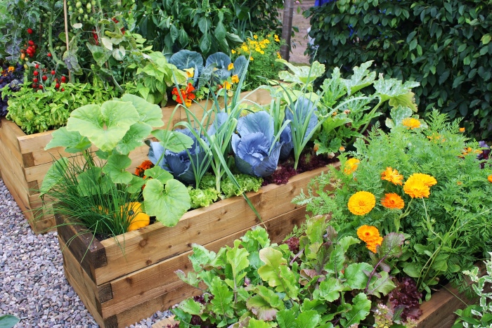 idee deco jardin, potager dans une jardinière en bois, bac a fleurs et légumes, idée comment aménager un carré potager