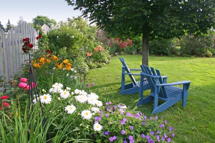 idee jardin amenagement simple et esthétique gazon avec une parterre de fleurs le long d une palissade, arbre et chaise longues bleues à l ombre